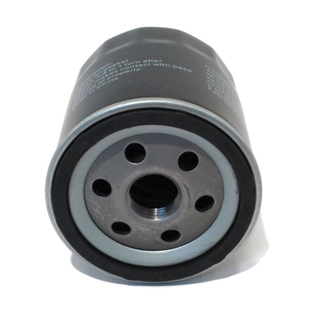 Oil Filter 491056 for B&S (42630)